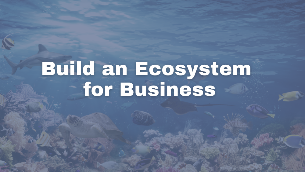 how-to-build-ecosystem-for-business-3